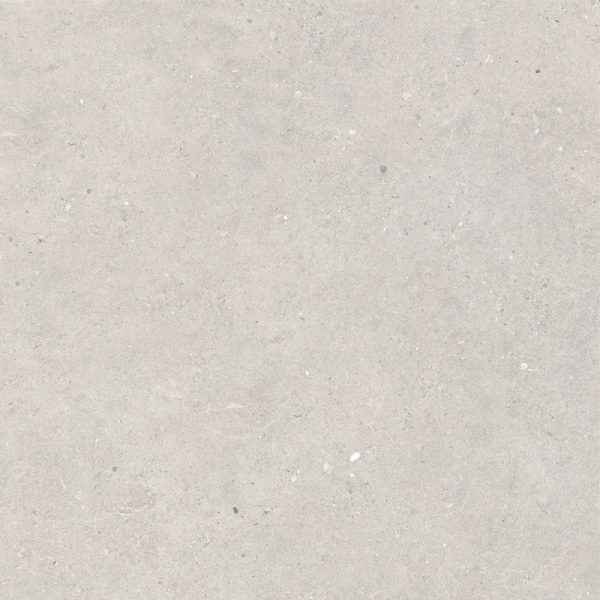 P2723 - Cerdomus Tile Studio Quality Tiles - October 29, 2021 600x600 Silver Grain White Matt R10 P2723
