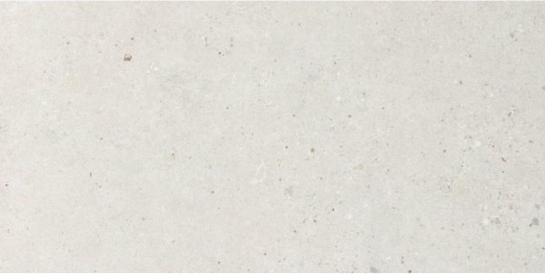 P2727 - Cerdomus Tile Studio Quality Tiles - October 29, 2021 600x1200 Silver Grain White Matt P3 P2727