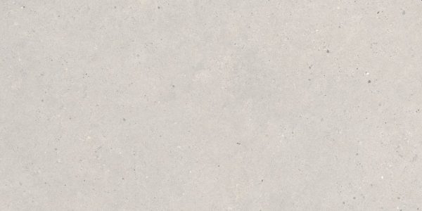 P2728 - Cerdomus Tile Studio Quality Tiles - October 29, 2021 600x1200 Silver Grain Grey Matt R10 P2728