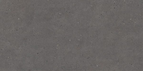 P2730 - Cerdomus Tile Studio Quality Tiles - October 29, 2021 600x1200 Silver Grain Dark Matt R10 P2730