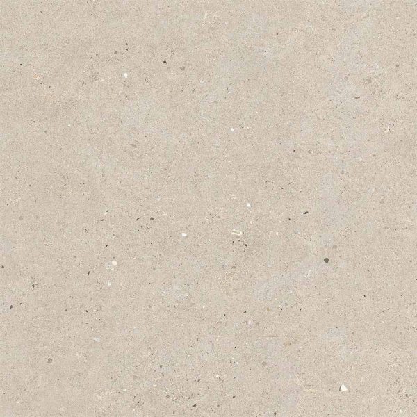 Silvergrain Beige - Cerdomus Tile Studio Quality Tiles - October 29, 2021 600x600 Silver Grain Beige Matt R10 P2725