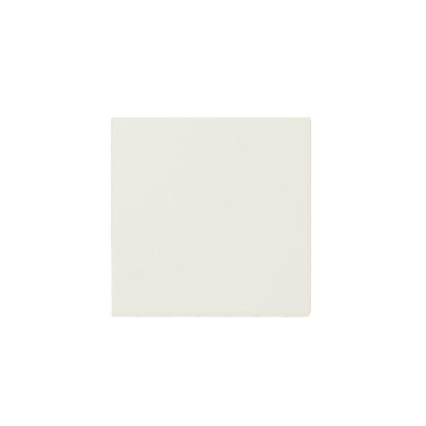 Vitrified SoftWhite - Cerdomus Tile Studio Quality Tiles - September 6, 2022 100x100 Soft White Vitrified Matt 100X100SOFTWHIT