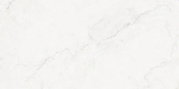 E2376H - Cerdomus Tile Studio Quality Tiles - October 6, 2022 300x600 Carrara Honed Porcelain E2376H